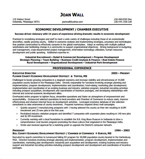 Sample senior executive resume save senior management resume samples. Executive Resume Template and What You Should Include