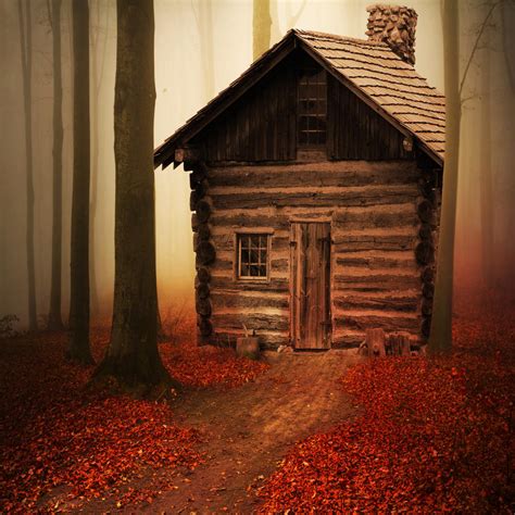 Cabin In The Forest By Virgolinedancer1 On Deviantart