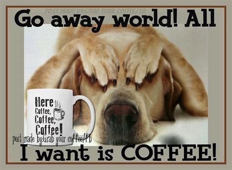 Good Morning Coffee Good Morning Quotes Coffee Quotes Coffee Humor