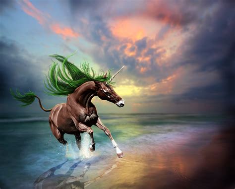780933 Unicorns Magical Animals Rare Gallery Hd Wallpapers