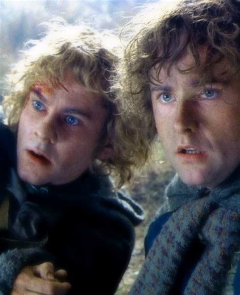 Dominic Monaghan As Merry And Billy Boyd As Pippin The Lord Of The Rings