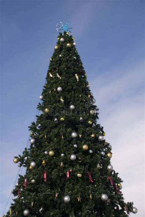 Christmas Tree Stock Photo Image Of Winter Tree Resort 1674034