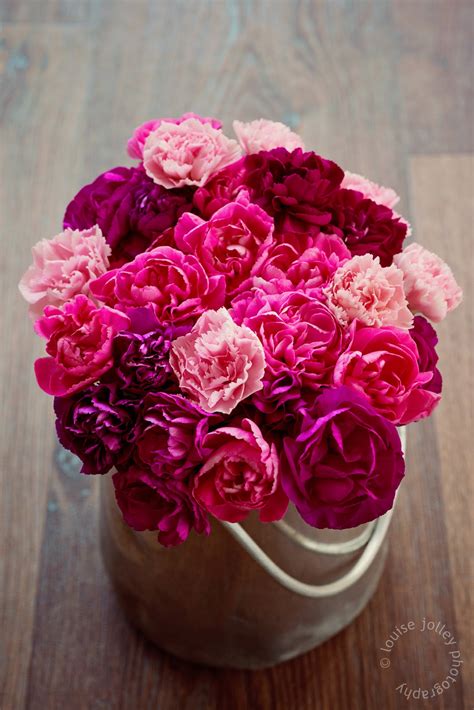 In And Out Of The Garden The Birth Flower For January Carnation