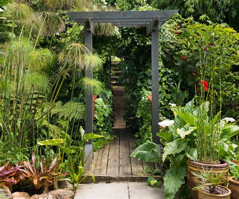 23 Lush Tropical Garden Plants Ideas To Try This Year Sharonsable