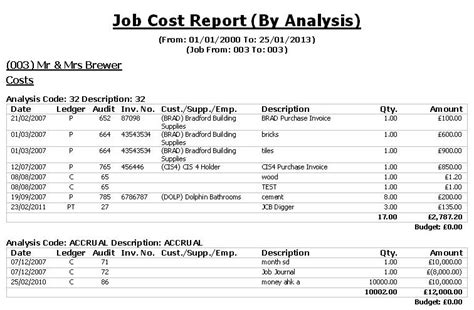 Job Cost Report Template Excel Constance Millers Template