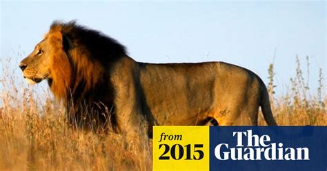 Lion Among 23000 Species Threatened With Extinction Say
