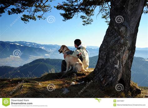 Young Man Enjoying Mountain View With His Dog Royalty Free