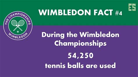 11 Unbelievable Wimbledon Facts Essentially Sports