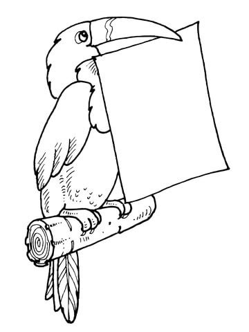 Color cute kawaii mango by numbers. Toucan Holds a Letter in Its Bill coloring page | Super ...
