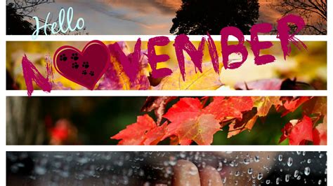 Hello November In Red Yellow Autumn Leaves Rain Drops Trees Background