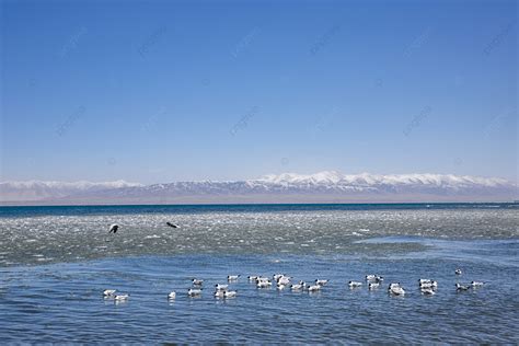 Beautiful Scenery Of Qinghai Lake Photography Map Background Qinghai