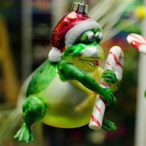 Frogs In The Christmas Tree Hubpages