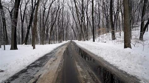 Wet Road Between A Snow Covered Woods · Free Stock Video