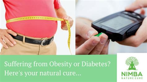 Suffering From Diabetes And Obesity The Answer Is Naturopathy Nimba