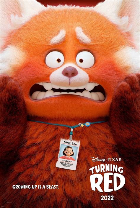 Pixars Turning Red Panda Trailer Release Date Diabetes Character More