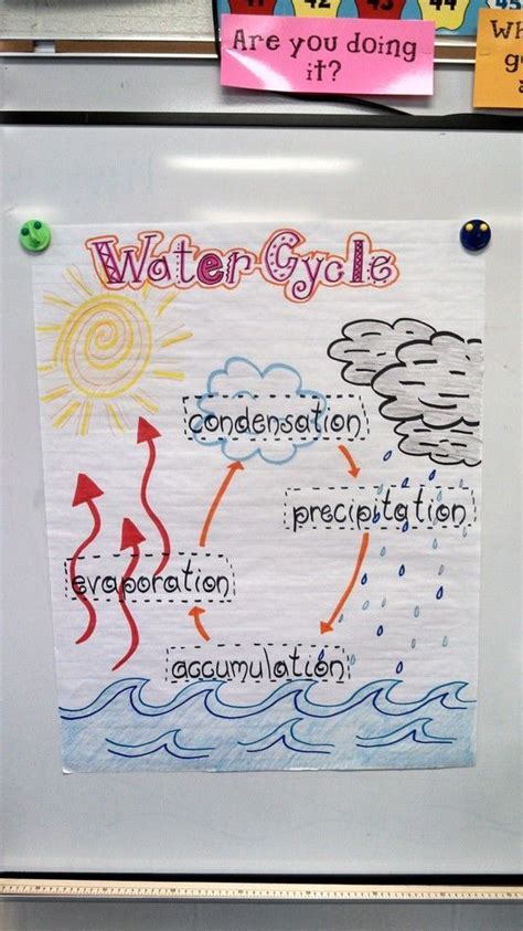 I Made This Visual Of The Water Cycle For My Second Grade Class Jb