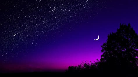 Moon Tree Starry Sky Night Stars Dark 4k Hd Creative Wallpapers Hd