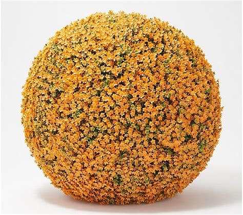 A popular choice for decorating from wicker park by bethlehem lights. Wicker Park 19" Faux Floral Oversized Garden Sphere - QVC ...