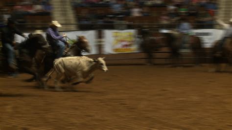 Ticket Sales Down For Sle Rodeo Alabama News