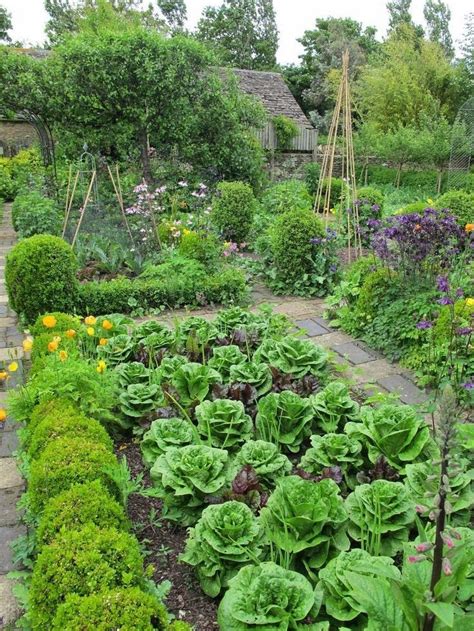 25 Best Potager Gardens Images On Pinterest Vegetables