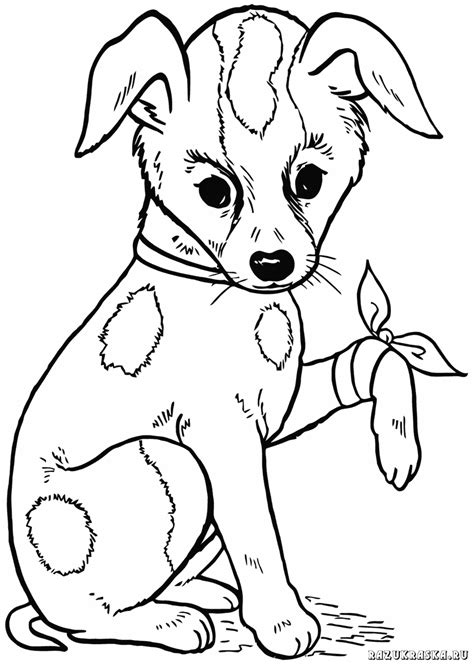 ausmalbilder-hunde-dekoking-com-22 Dog Coloring Book, Puppy Coloring
