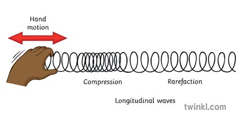 Longitudinal Waves Illustration Twinkl
