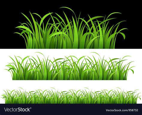 Green Grass Royalty Free Vector Image Vectorstock