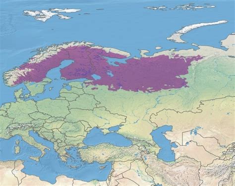 The Boreal Ecoregions Eurasia