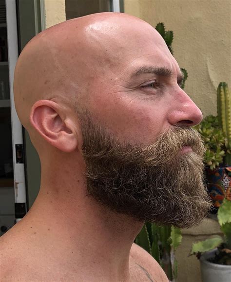 40 In A Month Beard Styles Bald Beard And Mustache Styles Bald Men