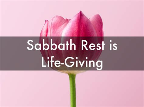 A Sabbath Rest By Aaron Chan