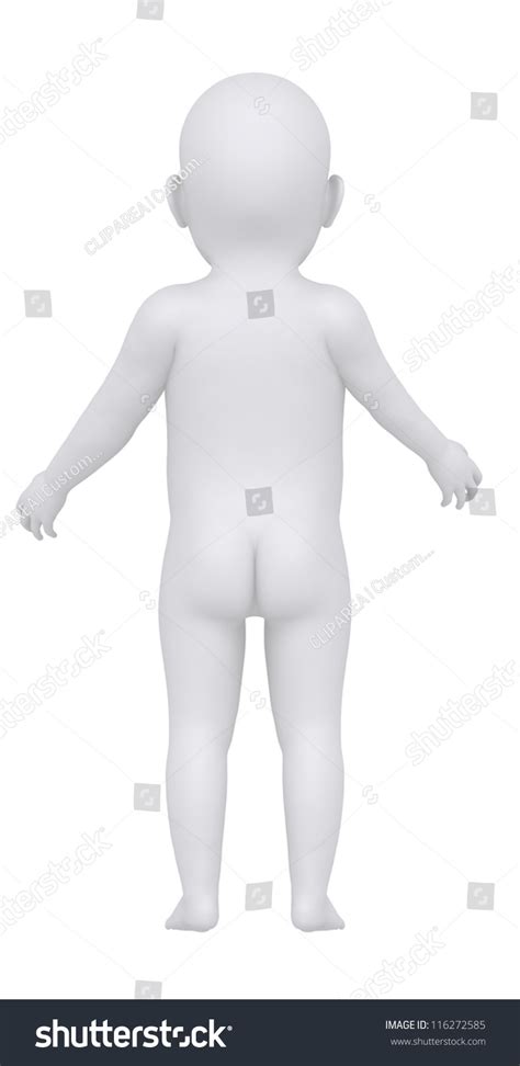 Baby Anatomical Position Posterior View Stock Illustration