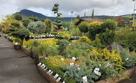 ARCHAMPS / EPAGNY METZ-TESSY. La jardinerie Fleurs et Plantes du Lac