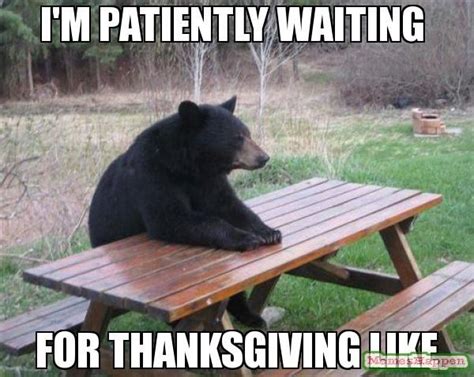 Im Patiently Waiting For Thanksgiving Like Funny Bears Funny