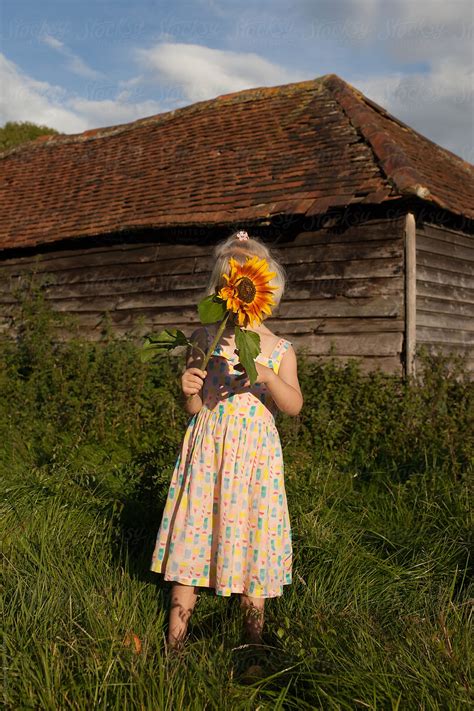Babe Girl Holds A Sunflower In Front Of Her Face In Front Of A Rustic Barn By Stocksy