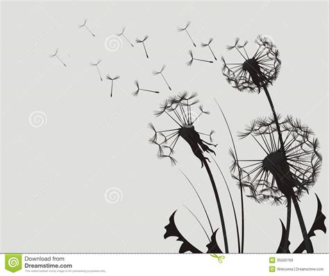 Dandelion Silhouette Royalty Free Stock Images - Image: 35500769