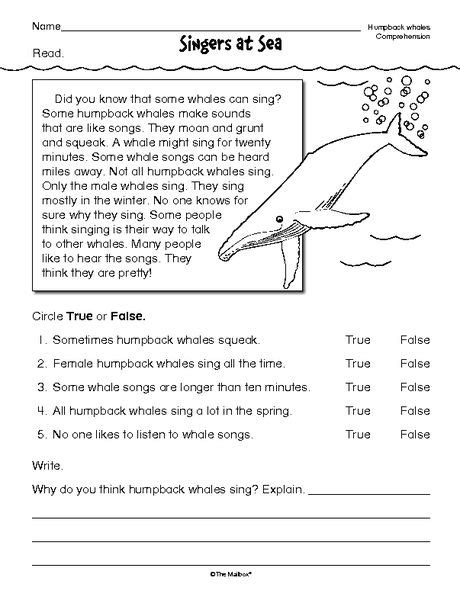 Reading Comprehension Worksheets 4th Grade Pdf Thekidsworksheet