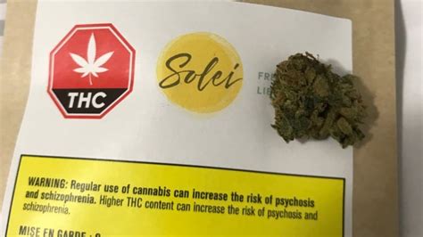 what it s like to get same day shipping for your legal weed from ocs cbc news