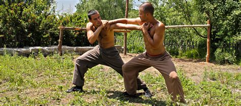 Alex Corne Shaolin Kung Fu Expert And Stuntman Armadillo Merino®