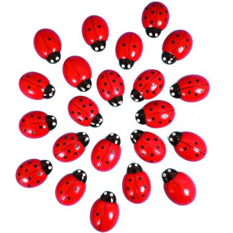 Ladybugs Counting Set Numeracy From Early Years Resources Uk