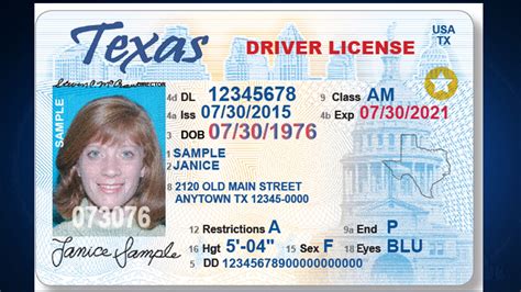 Texas Temporary Drivers License Template Printable Word Searches