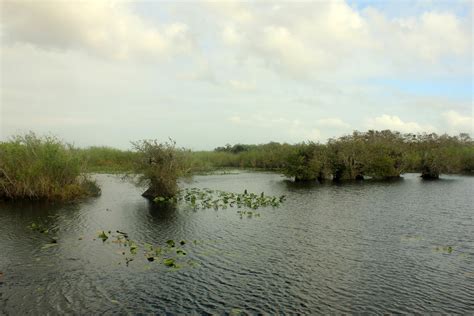 Lake In The Everglades In Everglades National Park Florida Image