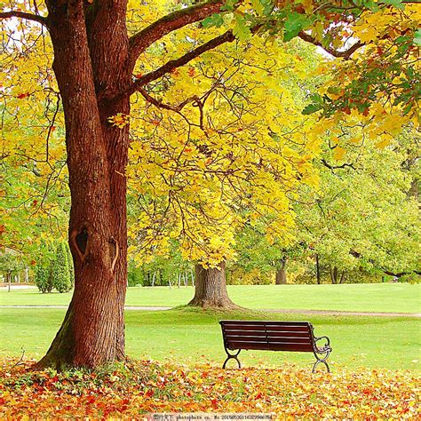 美丽秋天风景图片自然风光自然风景 图行天下素材网