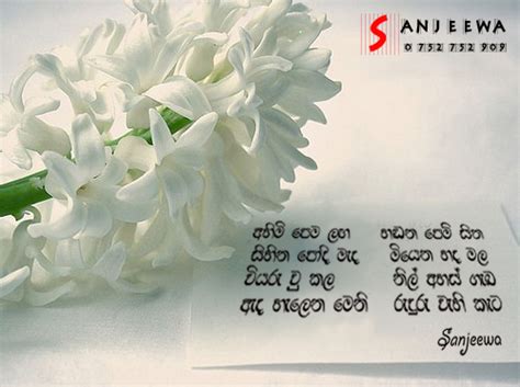 I work at english experts in the marketing department. Sanjeewa Creation: Lassana Nisadas