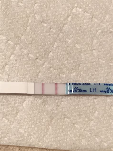 Ewcm 3 Dpo Trying To Conceive Forums What To Expect