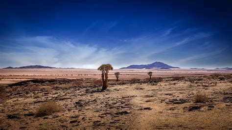 Namib Wüste Namibia Foto And Bild Africa Southern Africa Namibia