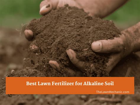 Best Lawn Fertilizer For Alkaline Soil