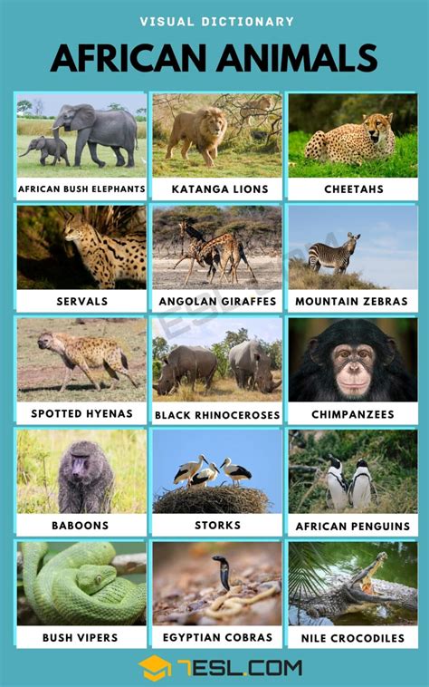 African Animals List Of African Animals With Fun Facts And Pictures 7esl