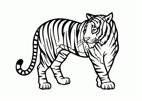 Wild Animal Coloring Pages Free Printable