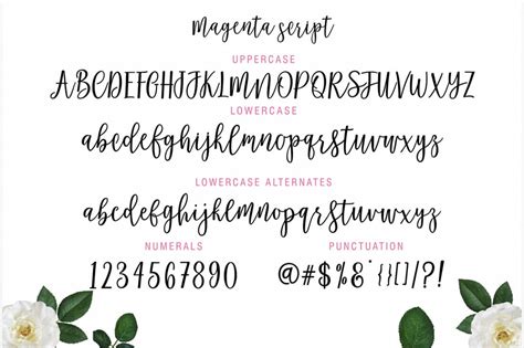 The lazy script has not been updated for a while due to me being very busy with my life. 5 Gorgeous, Calligraphy Fonts from Genesis Lab - only $12 ...