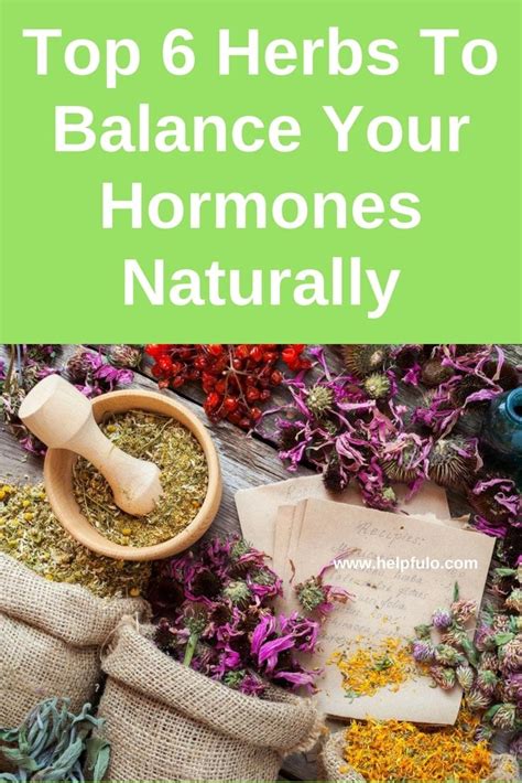 Top 6 Herbs To Balance Your Hormones Naturally With Images Hormones